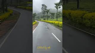 Valparai monsoon season #viralstatus #whatsappstatus #trendingshorts #coimbatoretourism