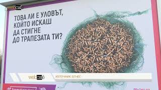 Едва 13% от хората знаят, че филтрите на цигарите се правят от пластмаса