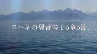 ヨハネの福音書１５章５節