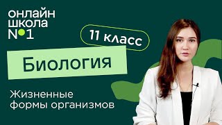 Жизненные формы организмов. Биология 11 класс. Видеоурок 24