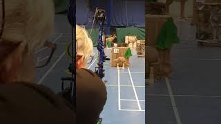 NFAS 3d Indoor Championships 2025 - 3d Armadillo Target - Compound Limited Rig.