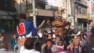 平成29年　大田区下丸子＜六所神社＞宵宮　三・四丁目町会神輿＝渡御