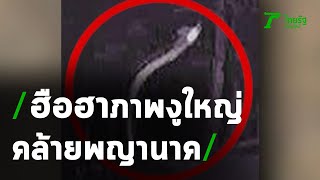 ฮือฮา งูใหญ่คล้ายพญานาค โผล่วัดดัง | 09-02-64 | ข่าวเที่ยงไทยรัฐ