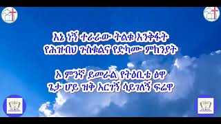 እኔ ነኝ ተራራው  ዘማሪ ተስፋዬ ጋቢሶ Ene Negne Teraraw Tesfaye Gabiso