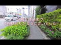 ランチメニューはお得感あります／ジョイフル【沖縄旅行・沖縄観光・うるま市】