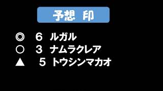 高松宮記念、マーチS　予想