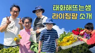 [라이징티비] 태화해뜨는샘 치유농장, 라이징팜 소개