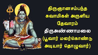 01.069 திருஅண்ணாமலை | பூவார் மலர் கொண்டு அடியார் தொழுவார் | சம்பந்தர் தேவாரம் | @PanniruThirumurai