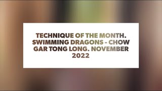 Nov 2022 Technique of the Month - Chow Gar Southern Praying Mantis Kung Fu - Swimming Dragons