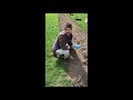 Planting a New Asparagus Bed