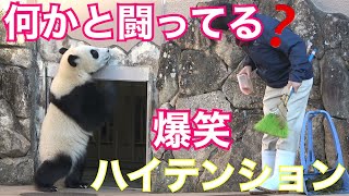 【楓浜テンションがおかしい🤣結浜や彩浜にソックリ😂謎の動きファッ‼️】親子で寝坊/帰宅遅れ15:52/滑り台 #ぽめぱん #PandaChannelbypomeranianfilm