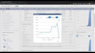 NetSuite - Improving Financial Visibility through Dashboards and Reporting