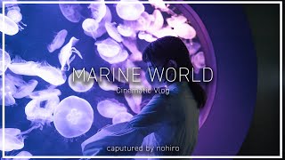 Marine World | 福岡・マリンワールド海の中道 | FUKUOKA CINEMATIC VLOG SHOT ON SONY A7SIII