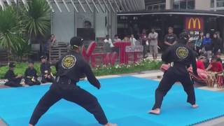 Festival Pencak Silat Temasek 2016 - Seligi Tunggal Singapura (Open Performance)