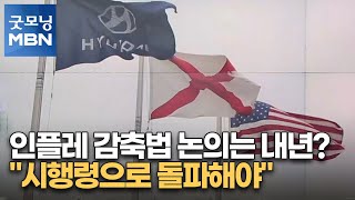 인플레 감축법 논의는 내년?…\