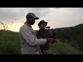 epic eland and black wildebeest hunt in the drakensberg trailer