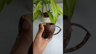 coconut shell tea cup making☕☕ Easy To Make -Diy || #shorts #diy #shortsfeed
