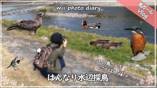 #32【水辺探鳥】川沿いを\