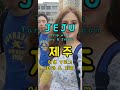 jeju island vlog 제주여행 브이로그