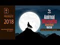 Animal Silhouette Moonlight Vector Design I Adobe Illustrator CC Tutorial by Mams I Sketch Station