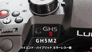 【カメラ雑談】GH5M2を導入したけど、全然売れてないの！？（涙）