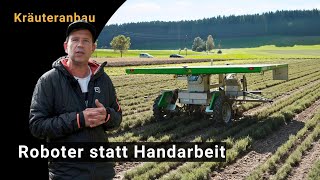 Roboter FarmDroid FD20 im Kräuteranbau: Erfahrungen, Herausforderungen, Wirtschaftlichkeit