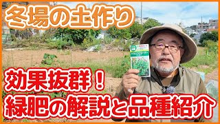 家庭菜園や農園で冬場の土作りに効果抜群の緑肥について解説とおすすめ品種紹介！