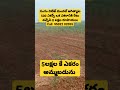 5lakhs acre for sale total 500 acres near jagatial Telangana clear property