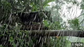 ฝนถล่มหนัก นอนห้าง บนขอนไม้