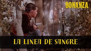 Bonanza | Temporada 2 Episodio 15 | La Linea de Sangre