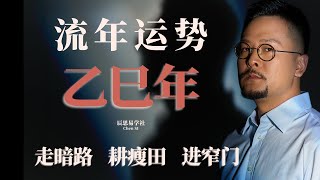 2025 乙巳年運勢解析 利好行業分析 ｜ 玄學 ｜ 八字 ｜運勢 ｜風水 ｜利好行業 ｜流年運勢