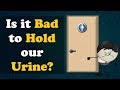 Is it Bad to Hold our Urine? + more videos | #aumsum #kids #science #education #children