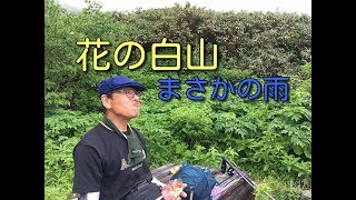 「福井県　夫婦　登山」 白山：予想外の雨