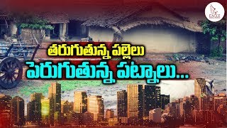 పెరుగుతున్న పట్టణాలు తరుగుతున్న పల్లెలు .. మరో 11 ఏళ్లలో పెను ప్రమాదం | Eagle Media Works