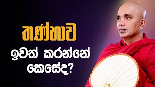 තණ්හාව ඉවත් කරන්නේ කෙසේ ද? | Ven Ududumbara Kashyapa Thero | 2022.02.20 | niwan maga