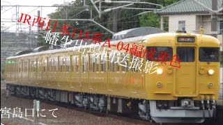 JR西日本115系幡生出場回送A04編成#知多半島の鉄道youtuber