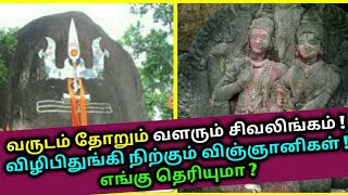 வருடம் தோறும் வளரும் சிவலிங்கம் ! விழிபிதுங்கி நிற்கும் விஞ்ஞானிகள் ! bhuteshwar mahadev | Astrology