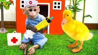 Doctor Monkey Bi Bon helps dad take care a little duck with fever | Happy Animals Home Obi and Bibi