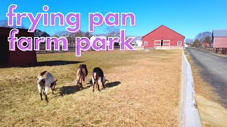 A Cold Morning at Frying Pan Farm Park | Herndon, Virginia (No Sound) | Wander This Way