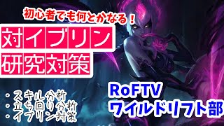 イブリン【RoFTV】初心者でも何とかなる対策分析