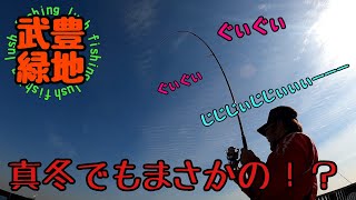 【南知多】武豊緑地！厳しい冬が来ましたね～！！