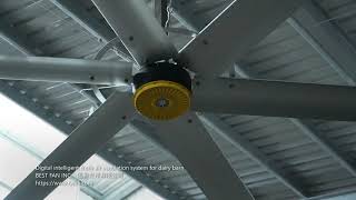 HVLS - Digital intelligent fresh air ventilation system for dairy freestall barn