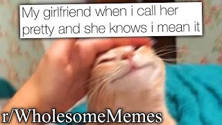 cutest memes on the internet