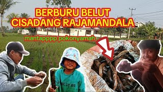 BERBURU BELUT CISADANG RAJAMANDALA /SAMPE NYASAR