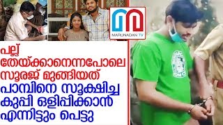 കുപ്പിയും പാമ്പിന്റെ പോസ്റ്റ്‌മോര്‍ട്ടവും.. സൂരജ് പുറം ലോകം കാണില്ല l uthra sooraj