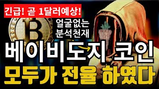 코인 [베이비도지] babydoge 코인! 재단과 머스크의 끈끈한관계?? + 머스크 베이비도지를 업고 간다! 확실한  지지! 업비트 상장 가능성 곧 임박!