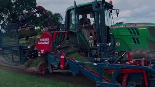 High Quality #Turf Harvesting #Summer 2023 Watmore’s Turf Growers