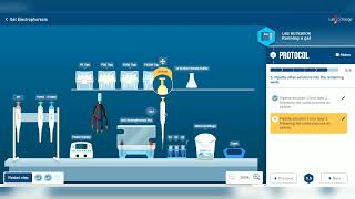 Gel Electrophoresis(LabXchange)