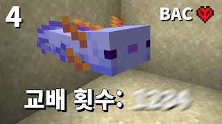 야생에서 0.083% 파란 아홀로틀 뽑기 | 마크 발전과제 1100개 올클리어 4화