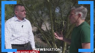 Nancy Guthrie case: Don’t get hopes up on glove, DNA, sergeant says | NewsNation Prime